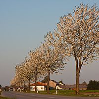 2011-04-20 18-13-24