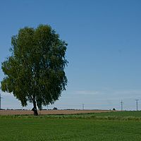 2011-05-08 11-51-48