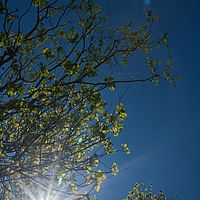 2011-05-08 11-55-33