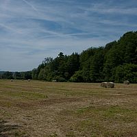 2011-05-29 12-39-19