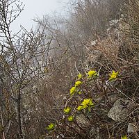 2013-05-08 14-41-28