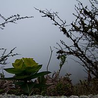 2013-05-08 14-47-28