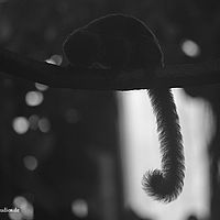 2015-02-28 15-19-53