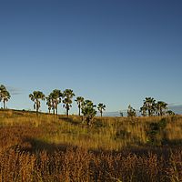 2015-04-14 17-20-09
