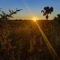 2015-04-14 17-35-49 hdr
