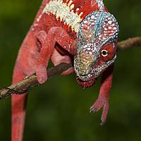 2015-04-15 11-50-14