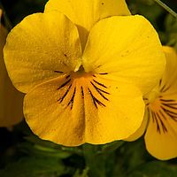2011-04-22 15-25-55