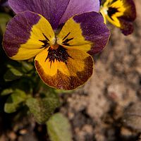 2011-04-22 15-27-16