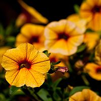 2011-06-12 15-00-33