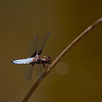 2011-06-12 15-02-31