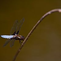 2011-06-12 15-02-42