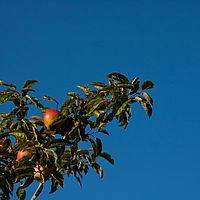 2011-10-02 08-13-20