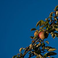 2011-10-02 08-13-56