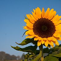 2011-10-02 08-30-45