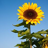 2011-10-02 08-31-05