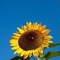 2011-10-02 08-32-39