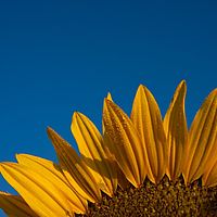 2011-10-02 08-33-58