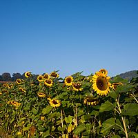 2011-10-02 08-34-41