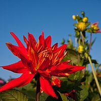 2011-10-02 08-37-28