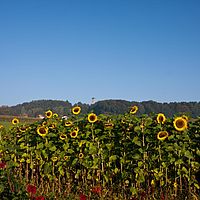 2011-10-02 08-37-58