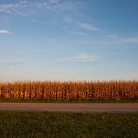 2011-10-18 17-52-05