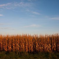 2011-10-18 17-52-37