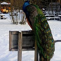 2011-01-02 13-37-56