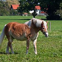 2011-09-15 10-59-37