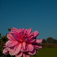 2011-10-02 08-41-19