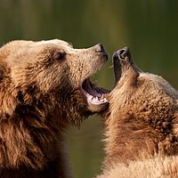 2011-03-08 14-33-15-2