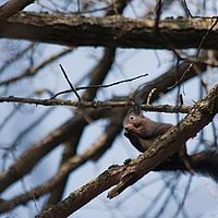 2011-03-29 12-35-54