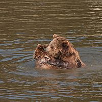 2011-03-29 13-57-05