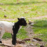 2011-04-16 12-04-22