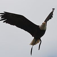 2011-04-16 14-11-03