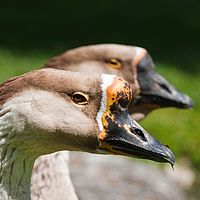 2011-05-07 13-27-41