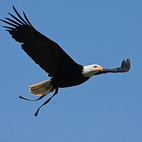 2011-05-07 15-09-21