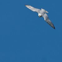 2011-05-07 15-32-34