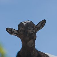 2011-05-07 16-12-41