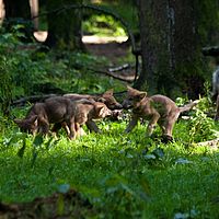 2011-07-08 17-53-39