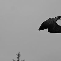 2011-08-06 15-02-42
