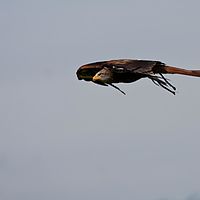 2011-08-06 15-23-09