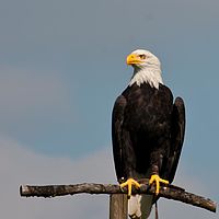 2011-09-15 15-10-34