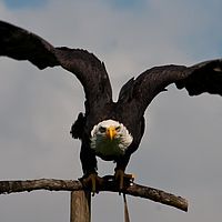 2011-09-15 15-10-58