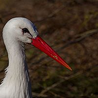 2012-04-01 08-34-51