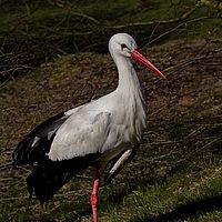 2012-04-01 08-35-13