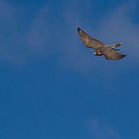2012-04-01 10-14-44