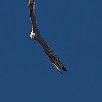 2012-04-01 10-19-57