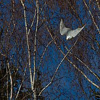 2012-04-01 10-20-18