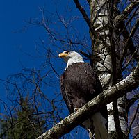 2012-04-01 10-22-47