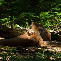 2012-06-16 12-19-21